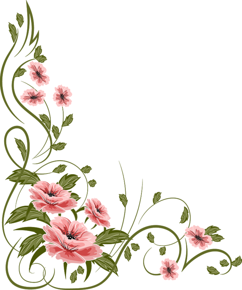 flower, vector design, rose Transparent PNG Photoshop