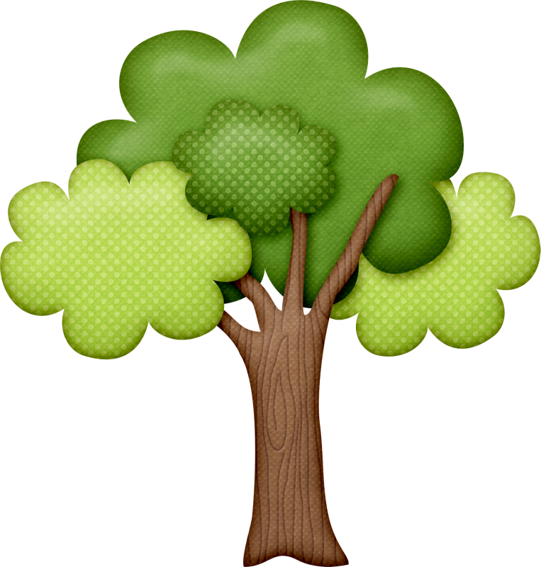 leaf, illustration, trees Transparent PNG Photoshop
