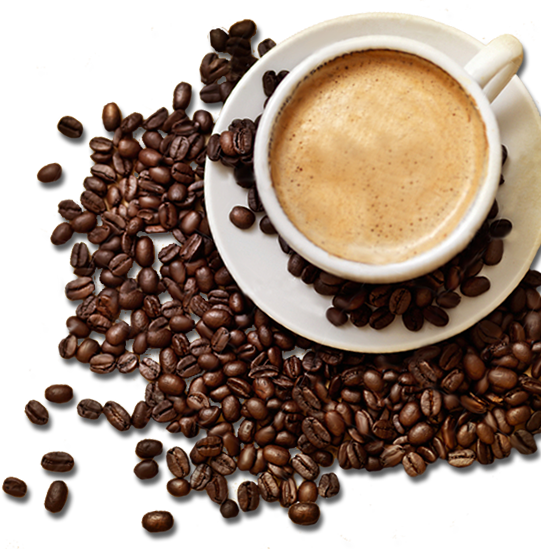 coffee bean, trophy, cocoa Transparent PNG Photoshop