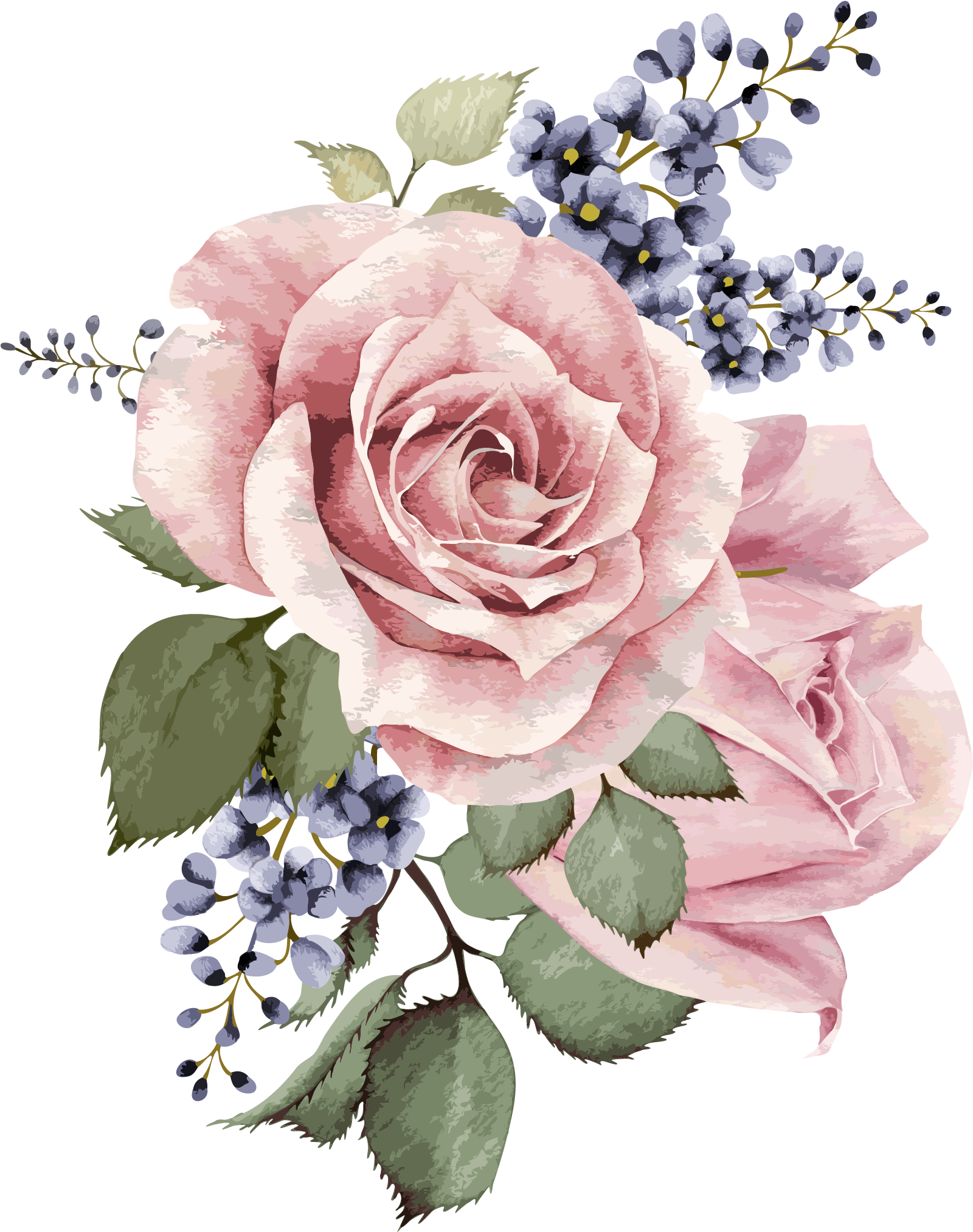 background, roses, watercolor flower Transparent PNG Photoshop