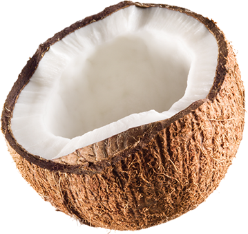 coconut, coconut oil, tropical 500 png download