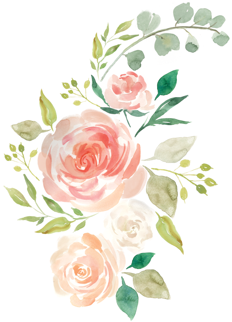 flower, roses, hand drawn Png download for picsart