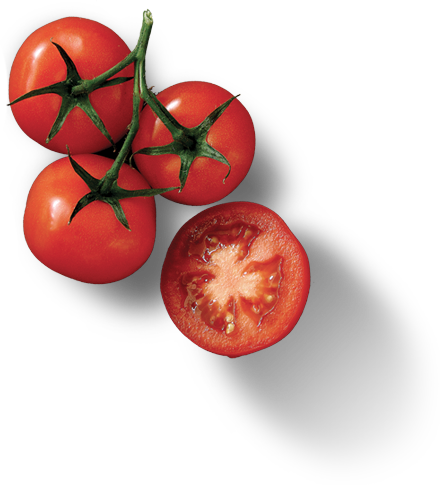 tomato, top, tree Png download free