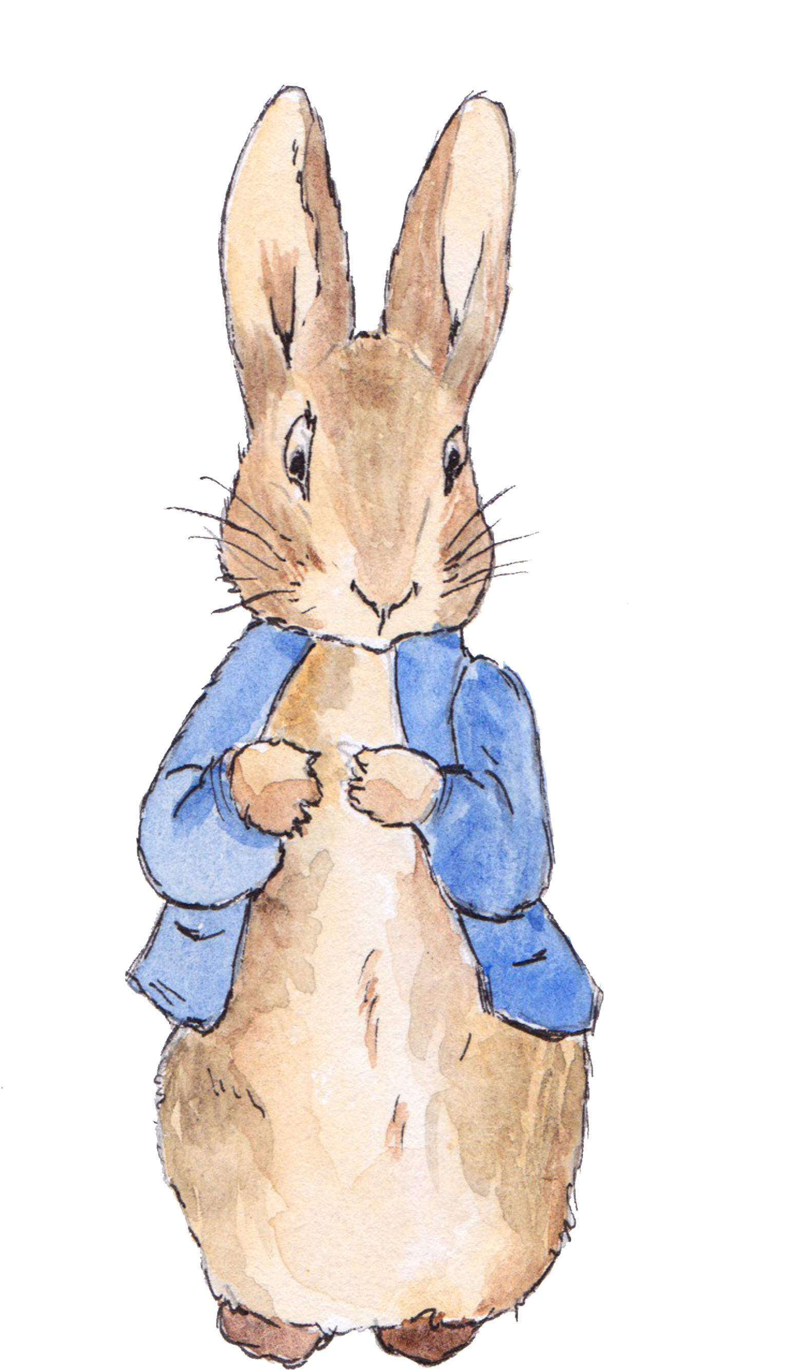 character, watercolor, bunny png background full hd 1080p