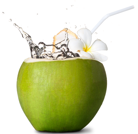 coconut, coconut oil, background Png images with transparent background