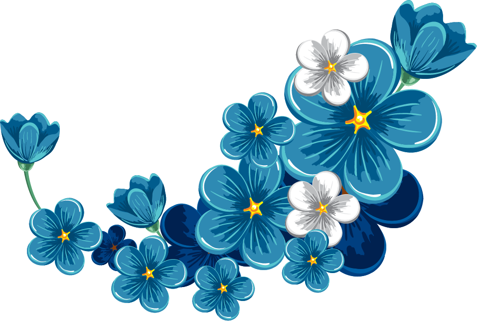 floral, bloom, isolated PNG images for editing