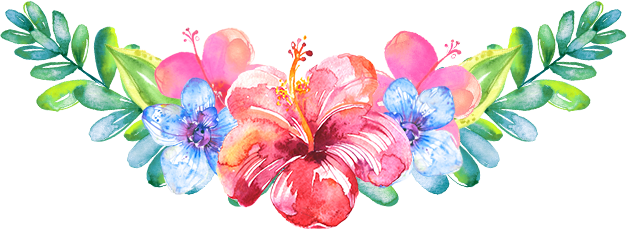 floral, hawaii, illustration high quality png images