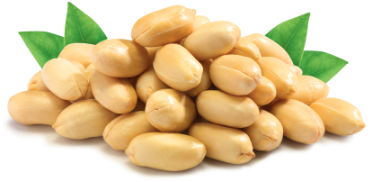 peanut, peanuts, background Png Background Full HD 1080p
