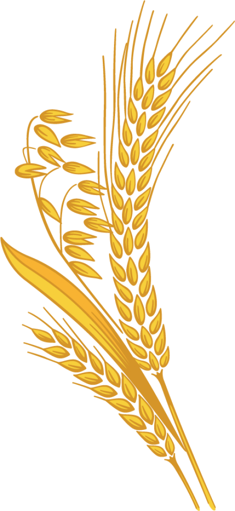 symbol, wheat, background Free Unlimited PNG download