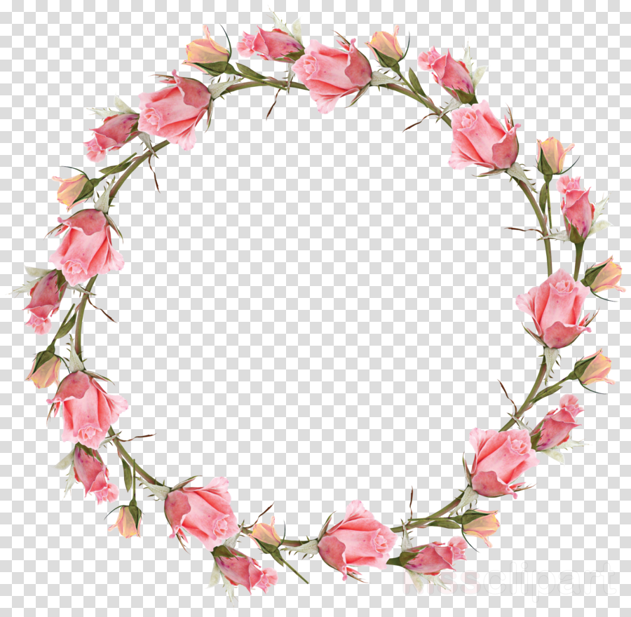 web, christmas wreath, rose png images online
