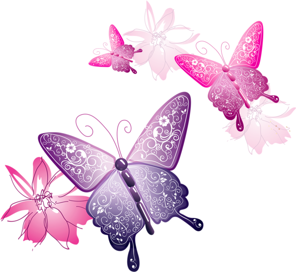 background, butterfly, floral Png images gallery