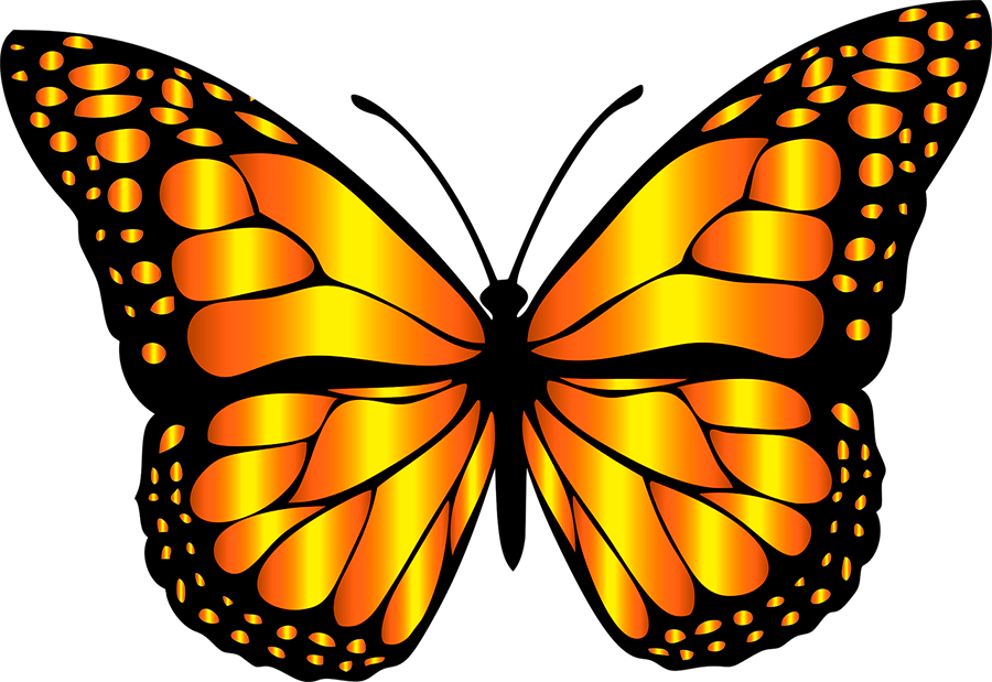 butterfly, flower, symbol PNG images for editing