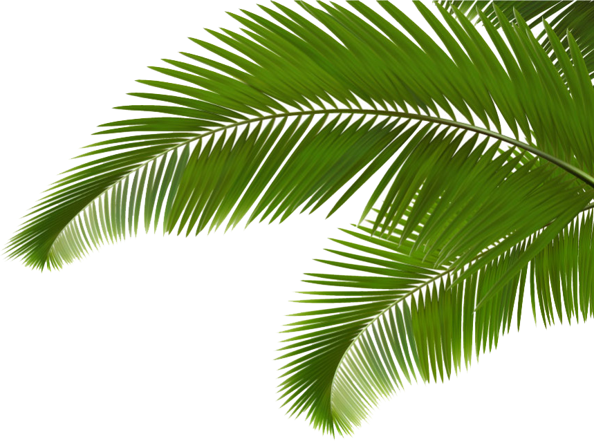 cross, leaves, beach png images online