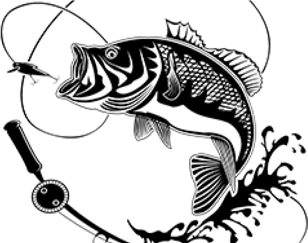 fish, background, lure png background full hd 1080p
