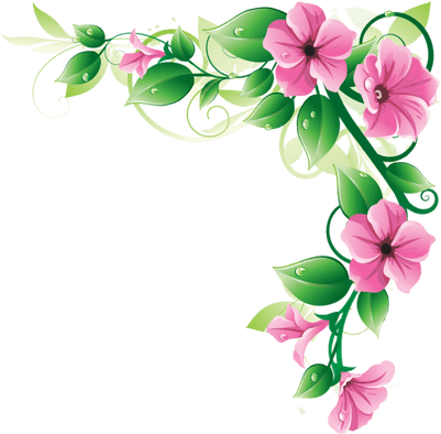 floral, certificate, border png images for photoshop