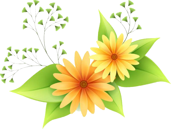 flower, banner, illustration Png images with transparent background