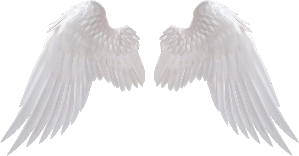 isolated, christmas angel, abstract png background full hd 1080p, transparent png download