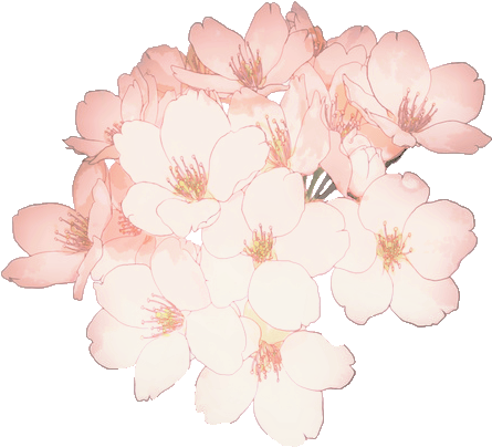 isolated, cute, rose png background hd download