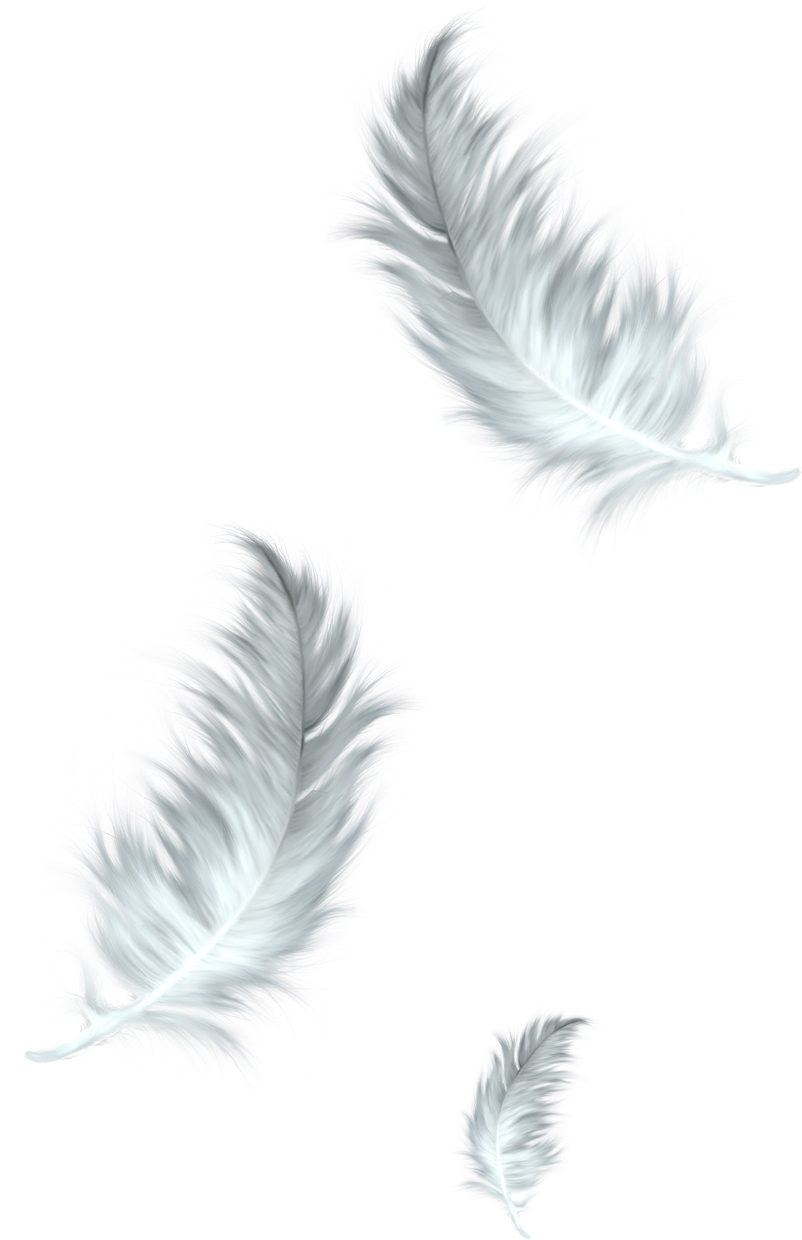 autumn, feathers, float png background full hd 1080p