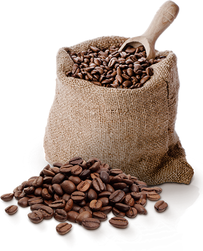 background, cocoa, coffee bean Png download free