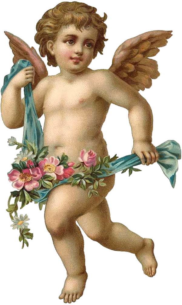 christmas angel, cherubs, wings 500 png download, transparent png download