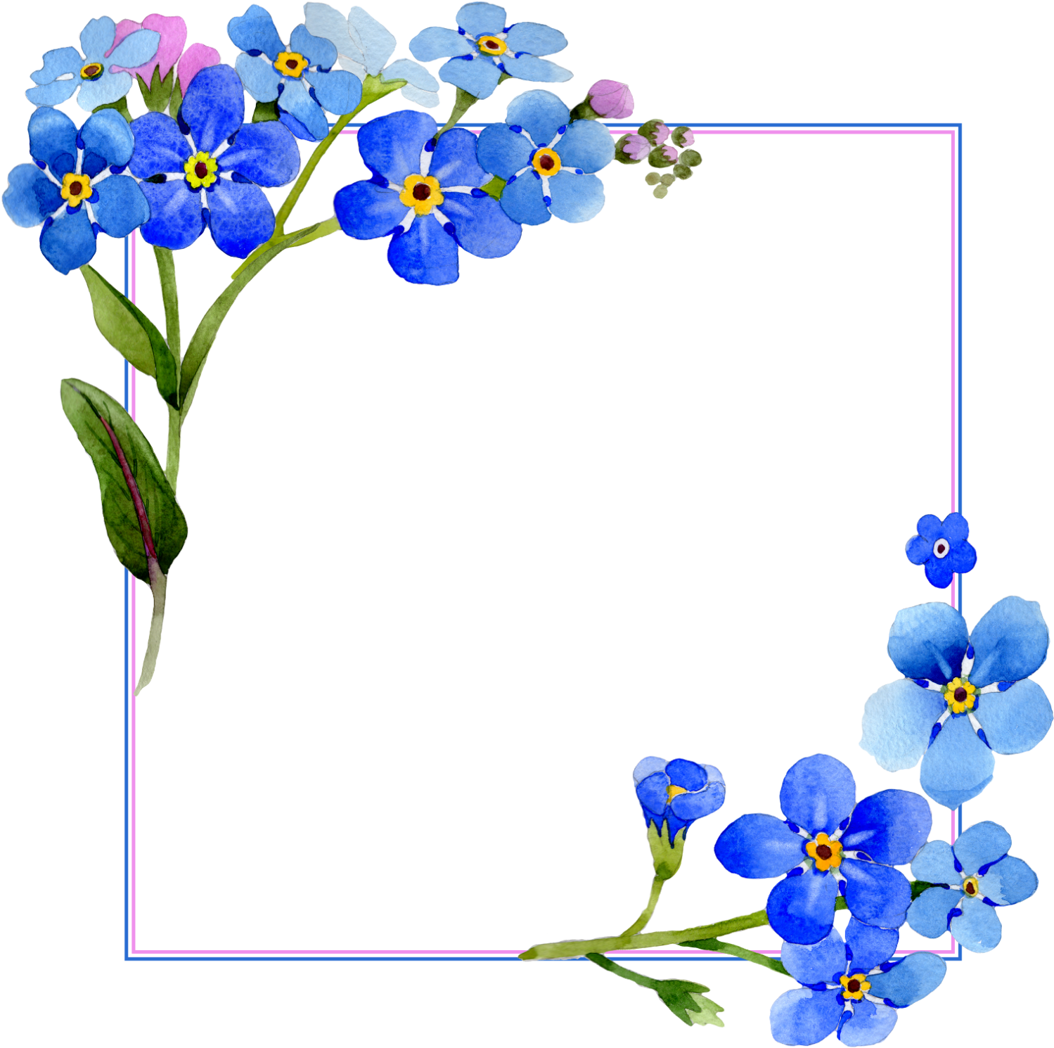 floral, summer, symbol Png download free
