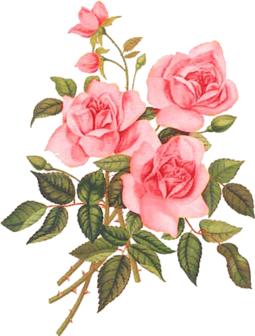 flower, retro, rose png background full hd 1080p