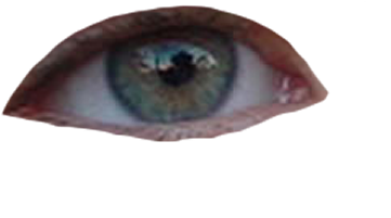 home, iris, eye high quality png images
