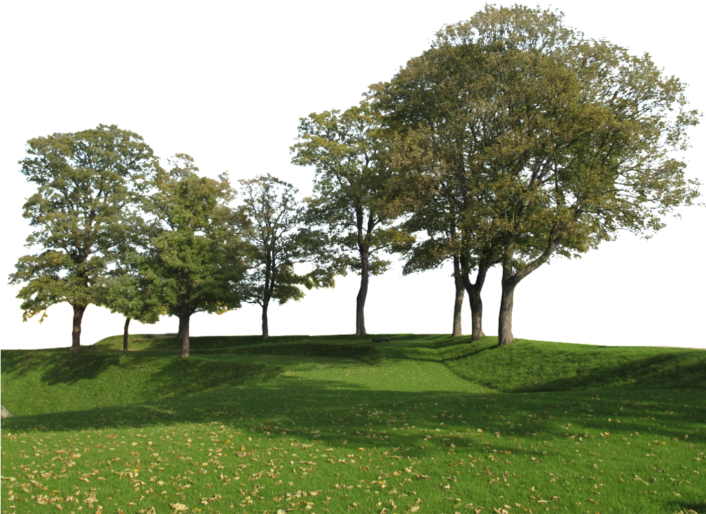 people, trees, forest Transparent PNG Photoshop