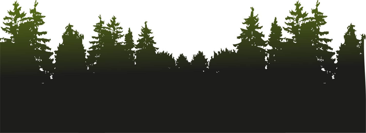 plant, trees, background Png Background Full HD 1080p