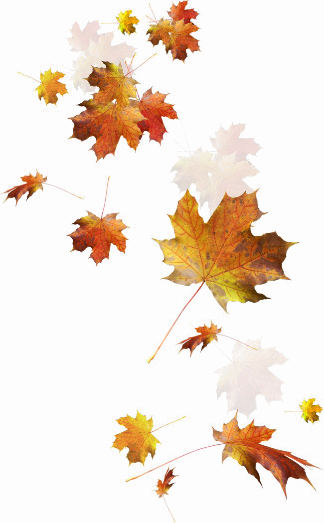 autumn, pattern, abstract png background download