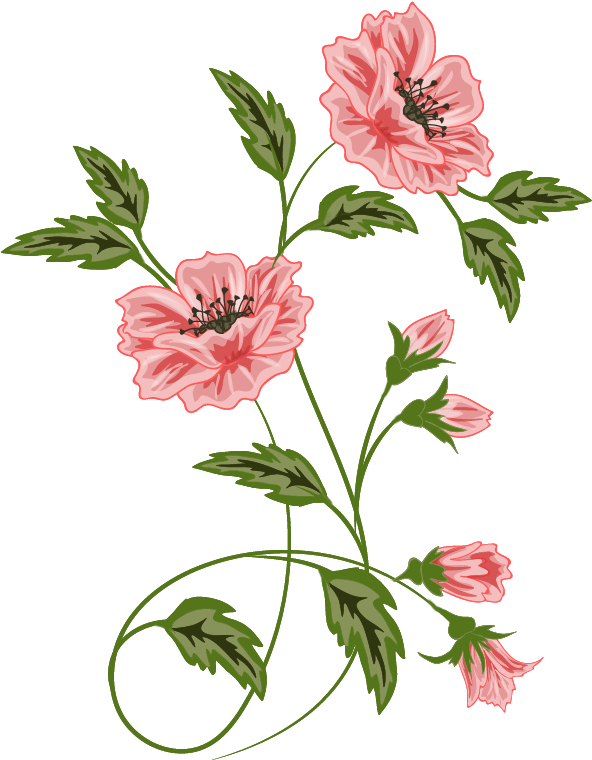 background, roses, isolated free png vector