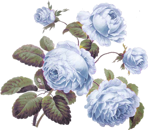 background, roses, retro high quality png images