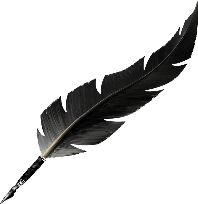 bird, background, wing png photo background