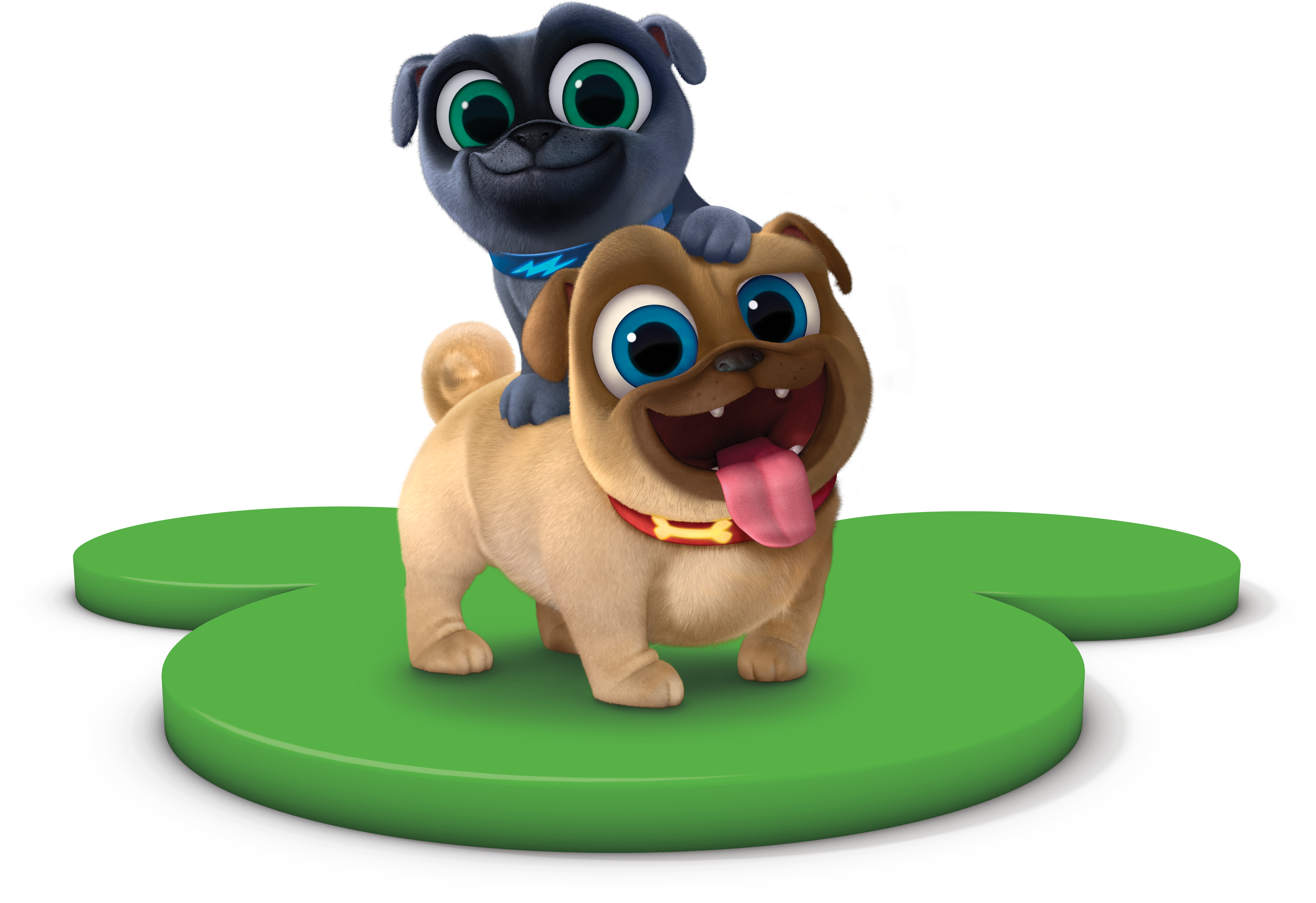 dog, food, puppy PNG images for editing