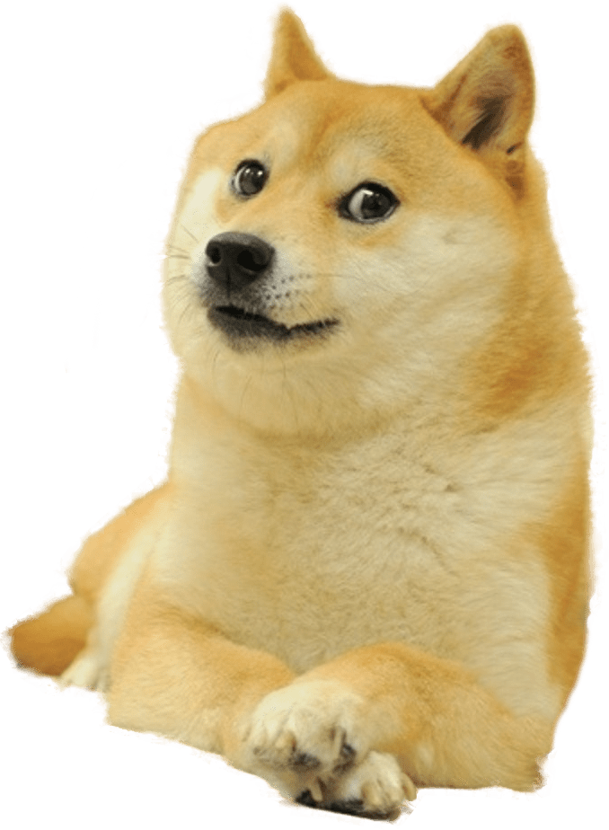 dog, smile, screen PNG images for editing