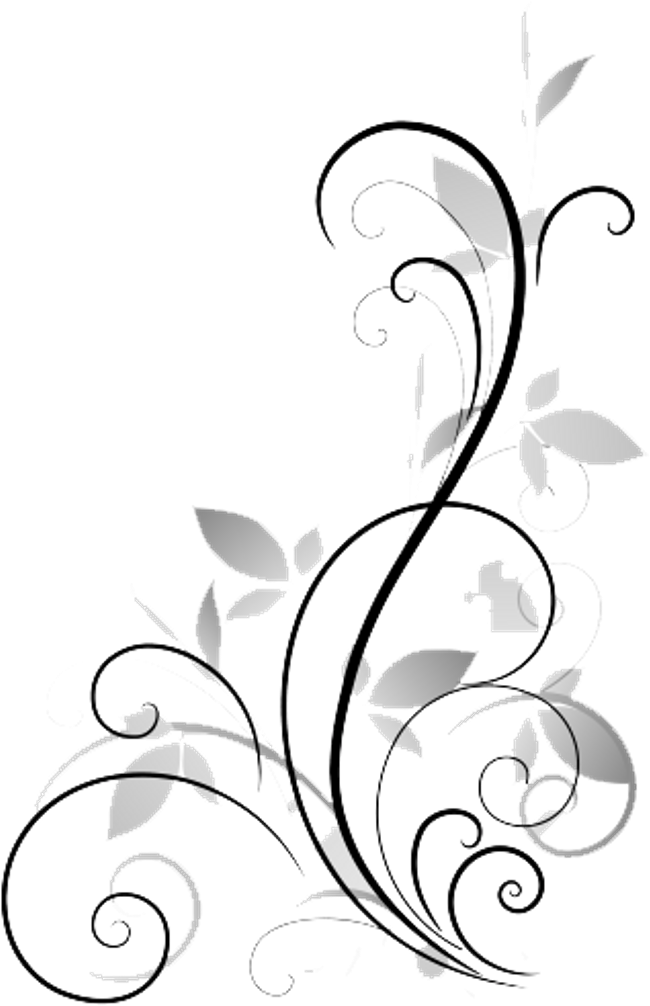 fancy lines, business, flowers png images for photoshop