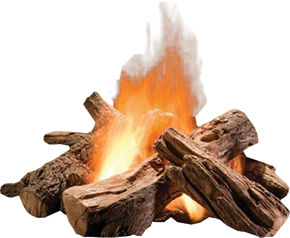 flame, tree, food Png download for picsart