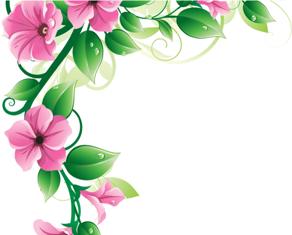 flower, certificate, flowers Png images gallery