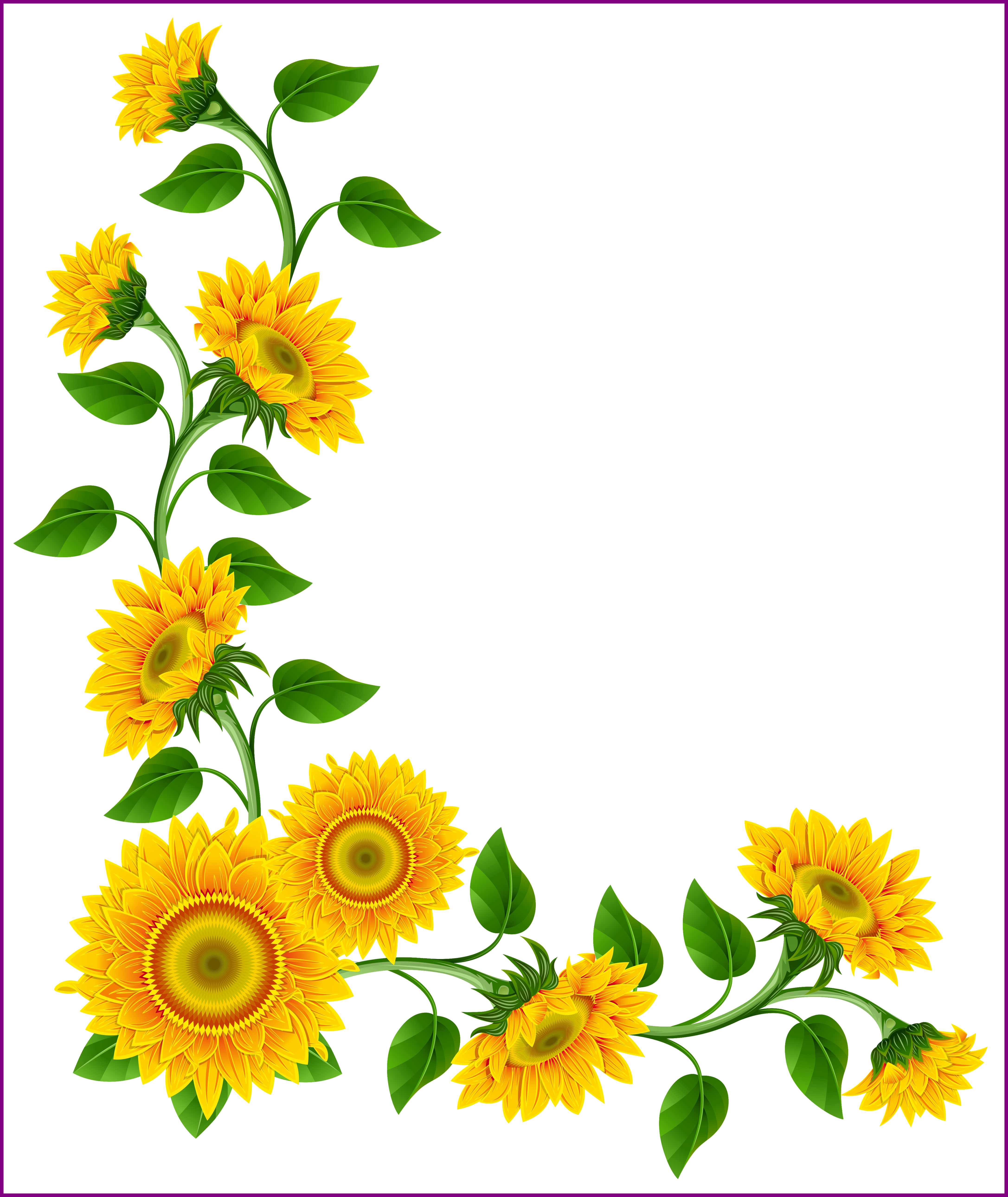 flower, illustration, watercolor flower free png vector