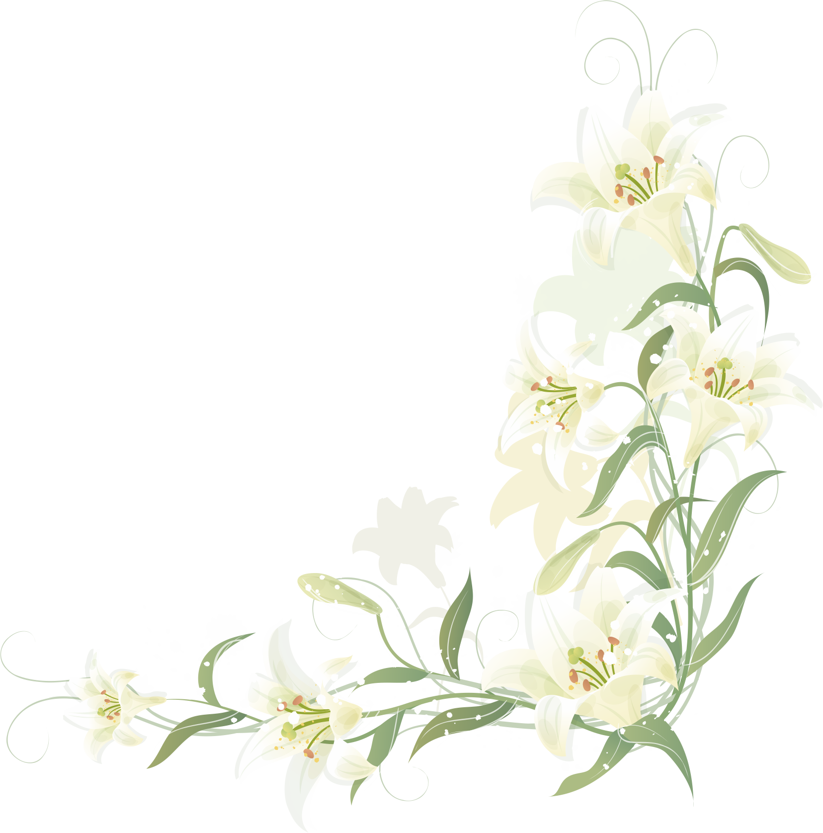 flower, wedding, square PNG images for editing