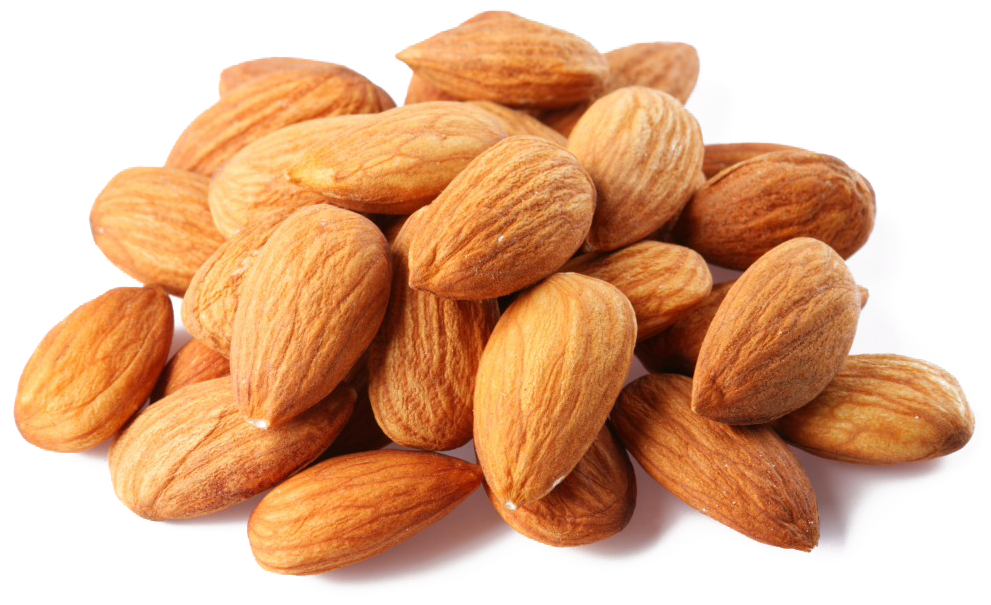 food, almond, document Png download for picsart