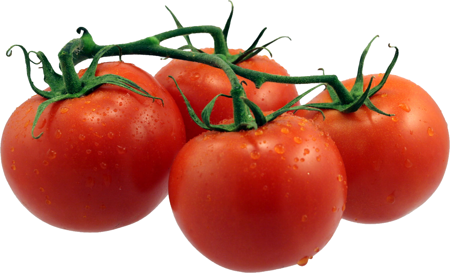 food, tomato, texture png images online
