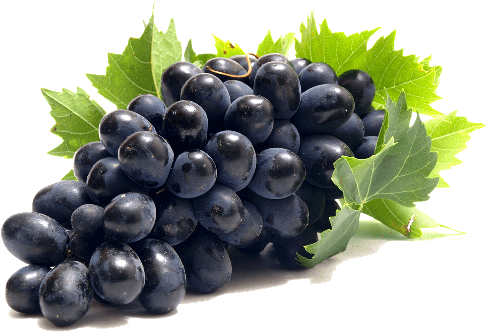 fruit, video, grape Png images with transparent background
