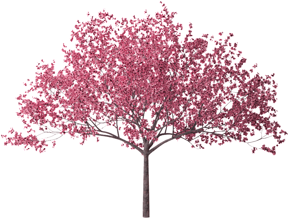 game, trees, floral png images online