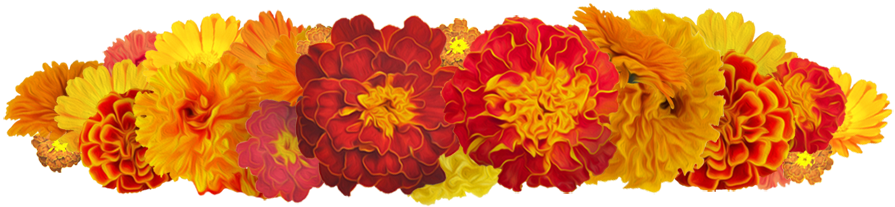 holiday, flower, logo high quality png images