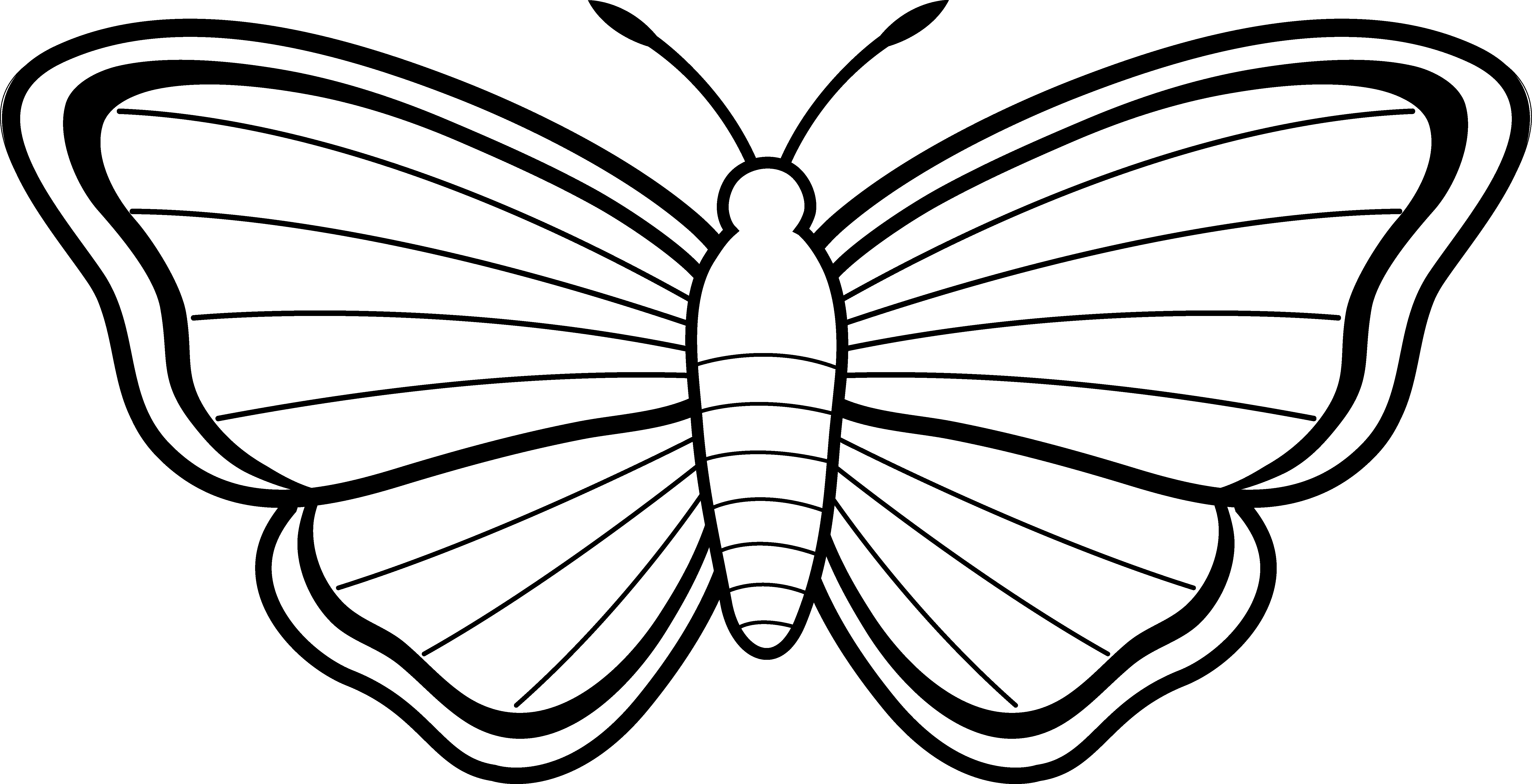 insect, page, color free png vector