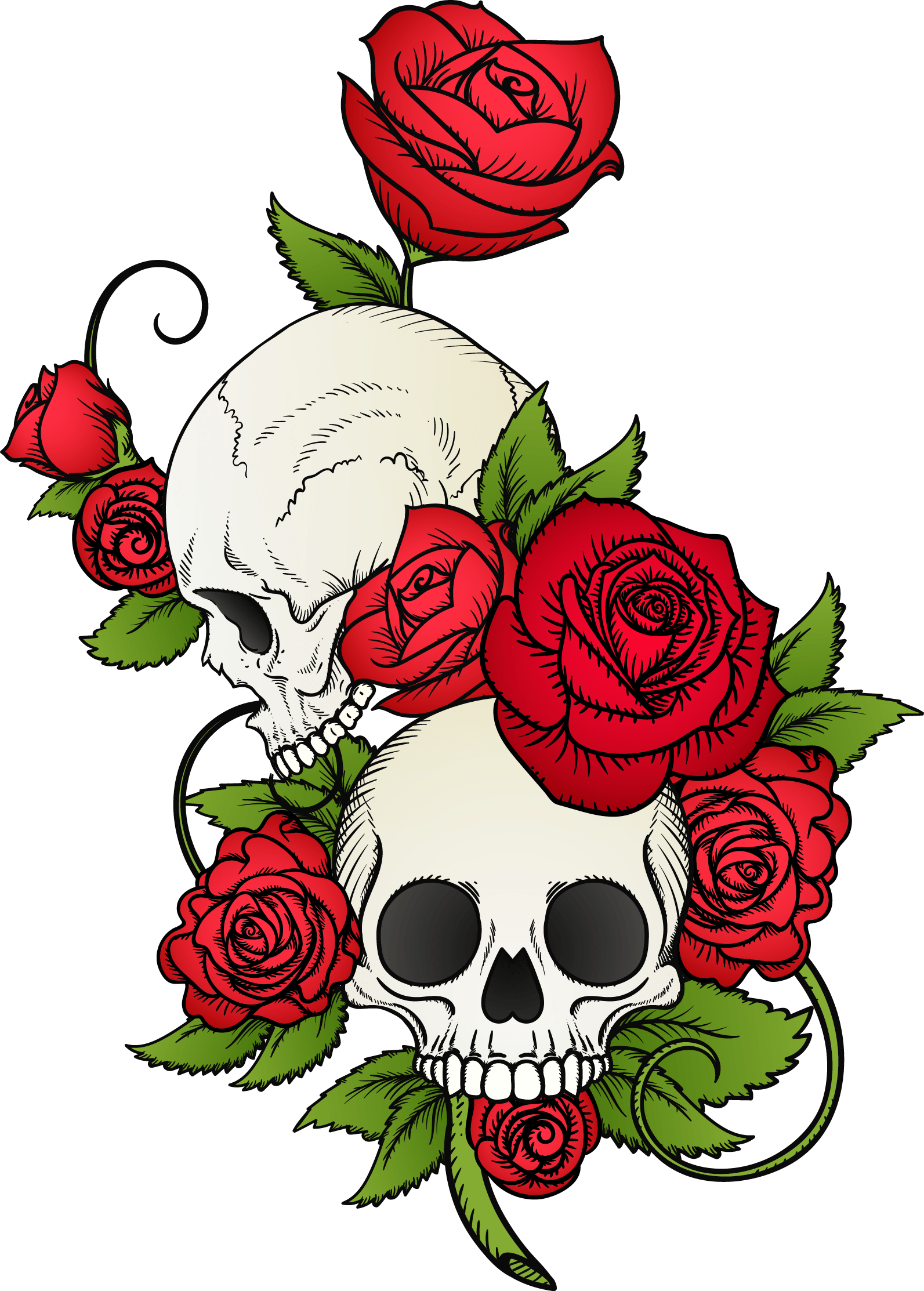 love, draw, roses Png images with transparent background