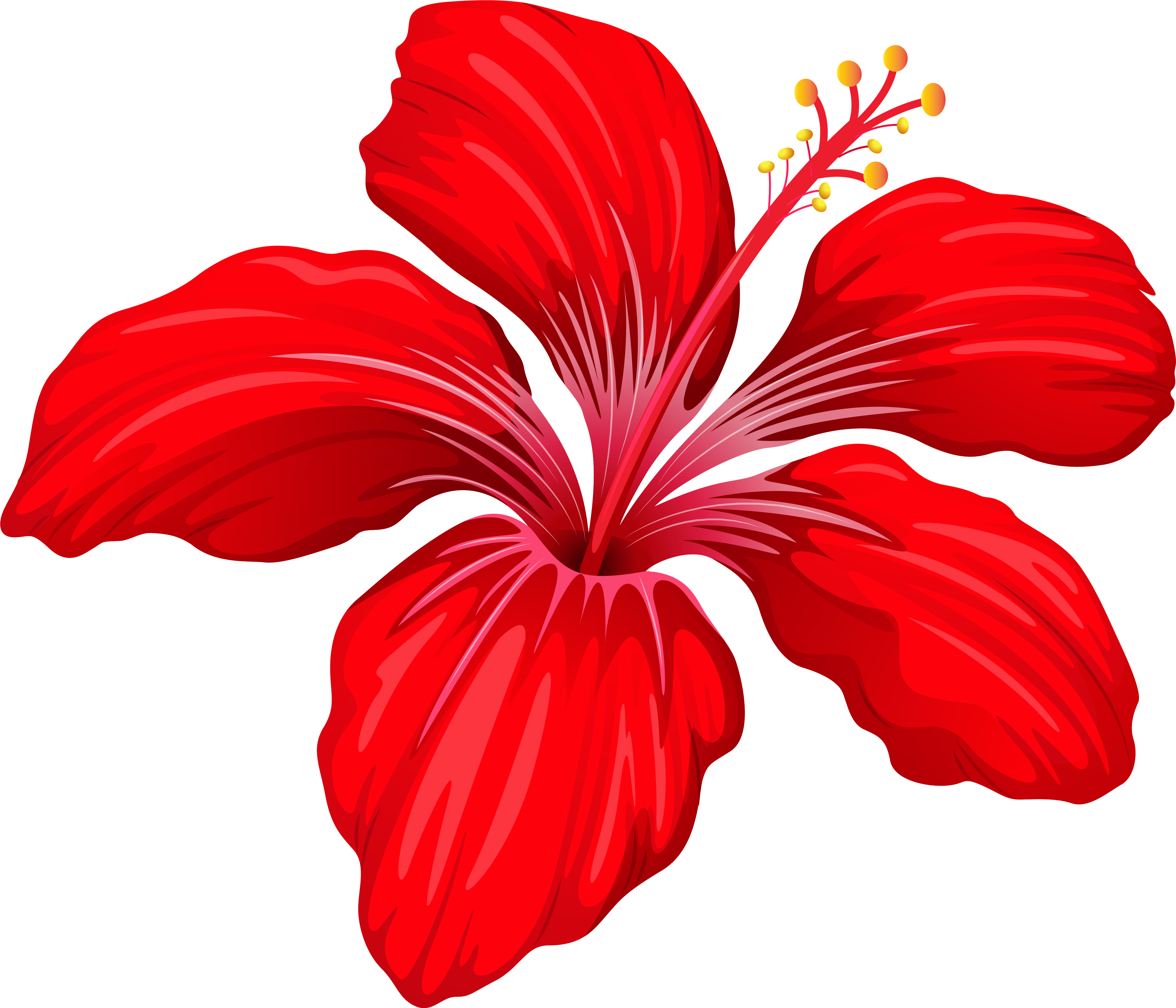 nature, hawaii, abstract png images online