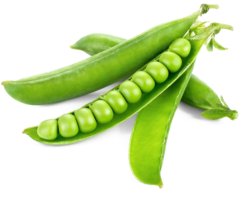 peas, cucumber, beans png images background